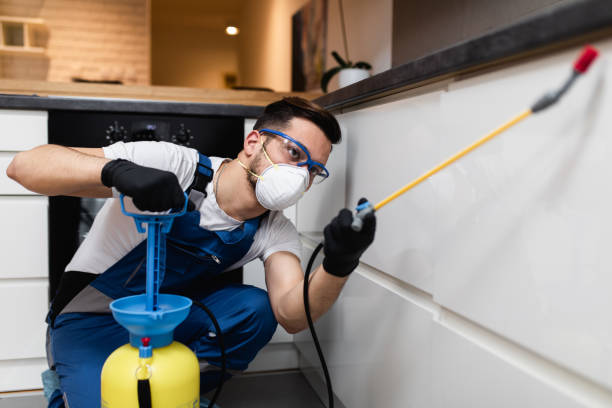 Trusted Reinholds, PA Pest Control Experts
