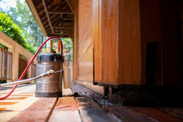 Best Local Pest Control Services  in Reinholds, PA