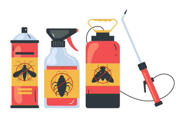 Best Termite Control Services  in Reinholds, PA