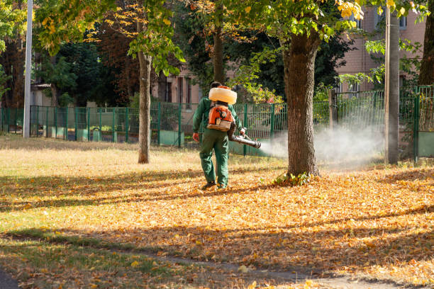 Best Pest Prevention Services  in Reinholds, PA