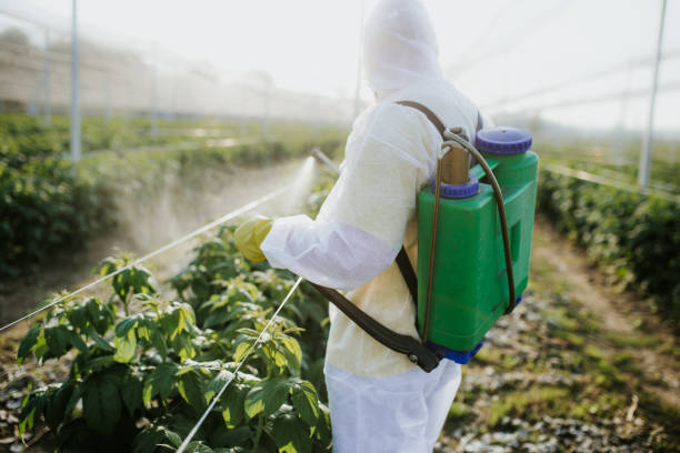 Best Bed Bug Extermination  in Reinholds, PA